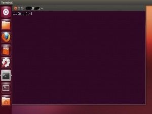 Open-a-Terminal-Window-in-Ubuntu-Step-3Bullet1
